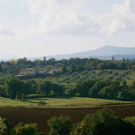 La Perticara Agroturismo *