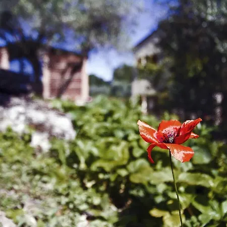 La Perticara * Acquasparta