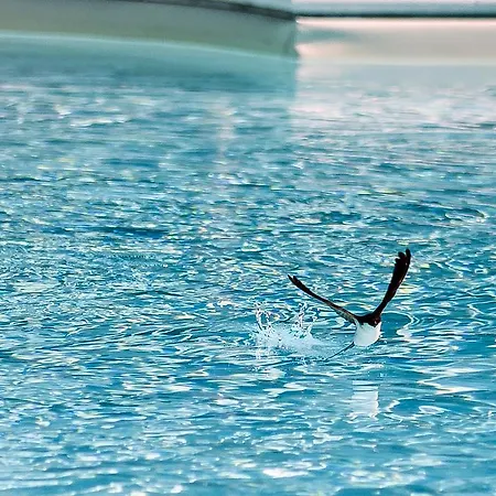 La Perticara Vakantieboerderij Acquasparta