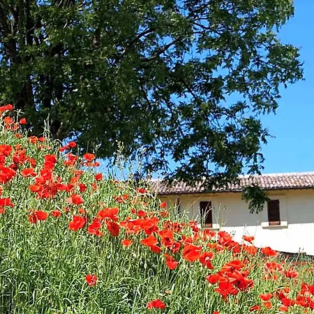 La Perticara Acquasparta